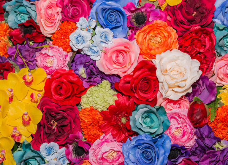 Masses of colored silk roses